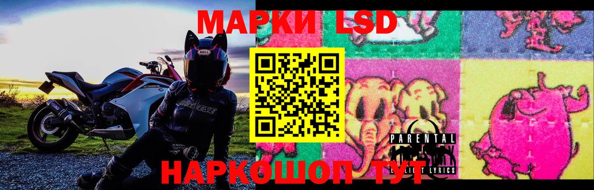 blacksprut маркетплейс  Вход с VPN  ЛСД экстази  Новошахтинск  ЛСД экстази ecstasy  ЛСД экстази кислота 