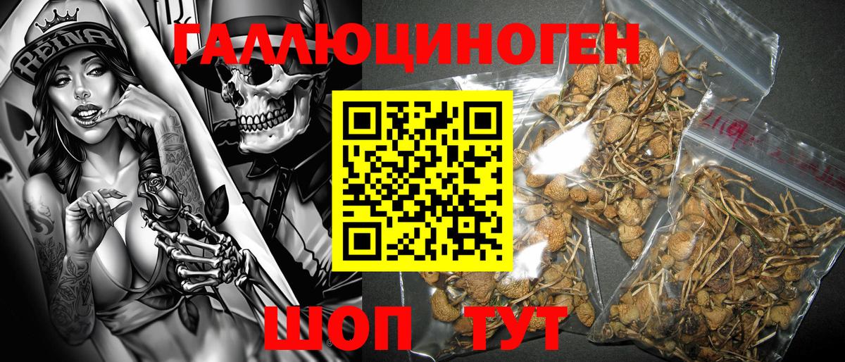 Псилоцибиновые грибы мухоморы Новошахтинск