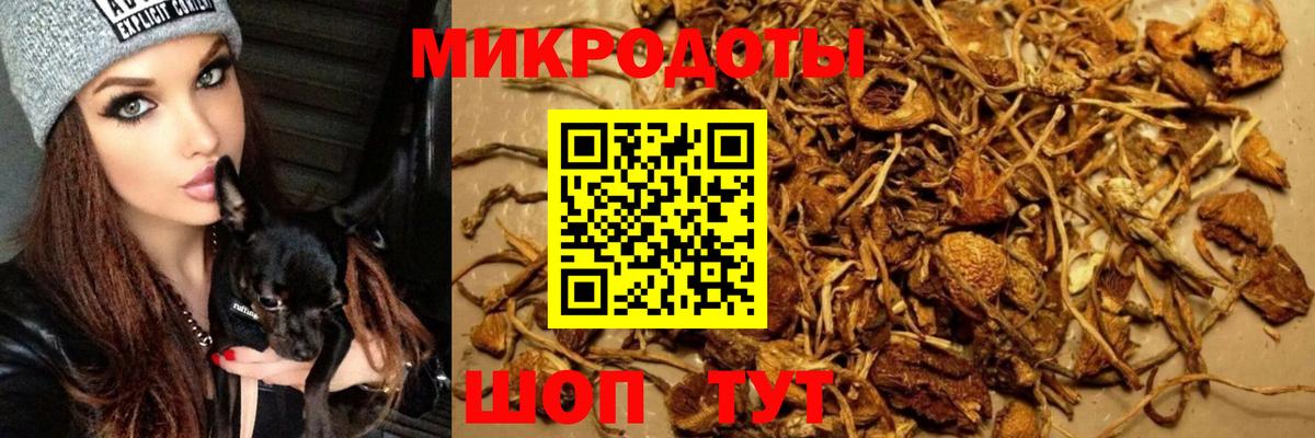 Галлюциногенные грибы Psilocybine cubensis  Вход с VPN  Псилоцибиновые грибы мухоморы  наркошоп  Новошахтинск 